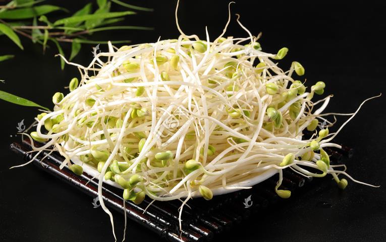 無公害綠色豆芽，怎么生產(chǎn)出來的？全套生產(chǎn)過程如此方便智能